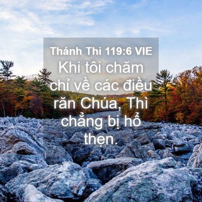 Picture 04 - Thánh Thi 119:6 VIE - Khi tôi chăm chỉ về các điều răn - Bible Verse Picture