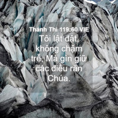 Picture 04 - Thánh Thi 119:60 VIE - Tôi lật đật, không chậm trễ, Mà gìn - Bible Verse Picture