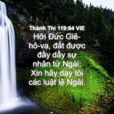 Picture 04 - Thánh Thi 119:64 VIE - Hỡi Đức Giê-hô-va, đất được đầy - Bible Verse Picture