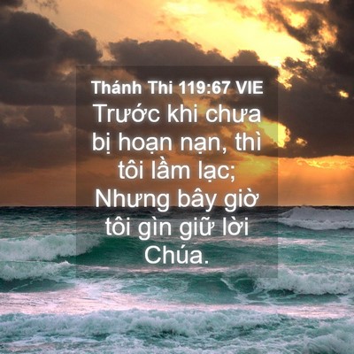 Picture 04 - Thánh Thi 119:67 VIE - Trước khi chưa bị hoạn nạn, thì tôi - Bible Verse Picture