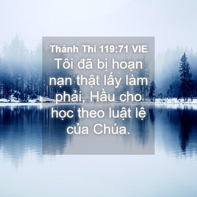 Picture 04 - Thánh Thi 119:71 VIE - Tôi đã bị hoạn nạn thật lấy làm - Bible Verse Picture