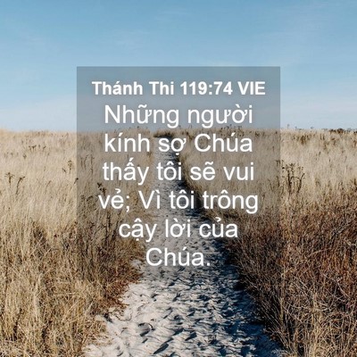 Picture 04 - Thánh Thi 119:74 VIE - Những người kính sợ Chúa thấy tôi - Bible Verse Picture