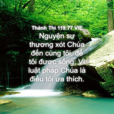 Picture 04 - Thánh Thi 119:77 VIE - Nguyện sự thương xót Chúa đến cùng - Bible Verse Picture