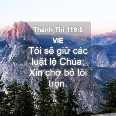 Picture 04 - Thánh Thi 119:8 VIE - Tôi sẽ giữ các luật lệ Chúa; Xin chớ - Bible Verse Picture