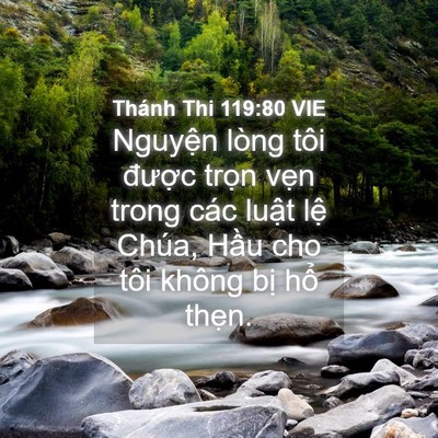 Picture 04 - Thánh Thi 119:80 VIE - Nguyện lòng tôi được trọn vẹn trong - Bible Verse Picture