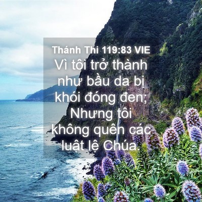 Picture 04 - Thánh Thi 119:83 VIE - Vì tôi trở thành như bầu da bị khói - Bible Verse Picture