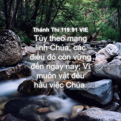 Picture 04 - Thánh Thi 119:91 VIE - Tùy theo mạng lịnh Chúa, các điều đó - Bible Verse Picture