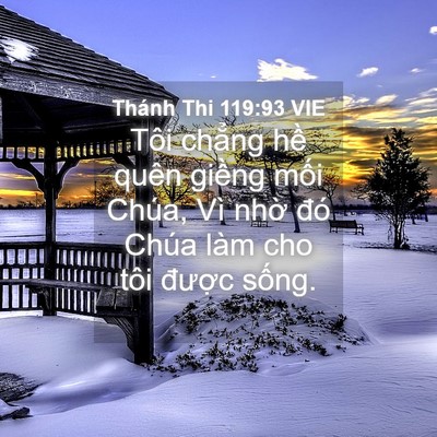 Picture 04 - Thánh Thi 119:93 VIE - Tôi chẳng hề quên giềng mối Chúa, Vì - Bible Verse Picture