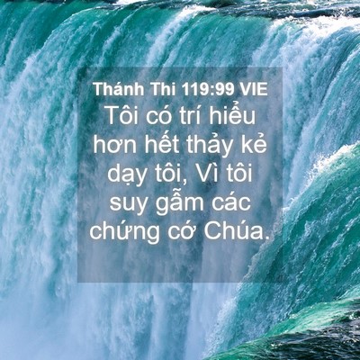 Picture 04 - Thánh Thi 119:99 VIE - Tôi có trí hiểu hơn hết thảy kẻ dạy - Bible Verse Picture