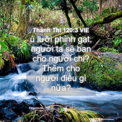 Picture 04 - Thánh Thi 120:3 VIE - ù lưỡi phỉnh gạt, người ta sẽ ban - Bible Verse Picture