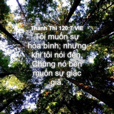 Picture 04 - Thánh Thi 120:7 VIE - Tôi muốn sự hòa bình; nhưng khi tôi nói - Bible Verse Picture