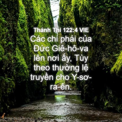 Picture 04 - Thánh Thi 122:4 VIE - Các chi phái của Đức Giê-hô-va lên nơi - Bible Verse Picture