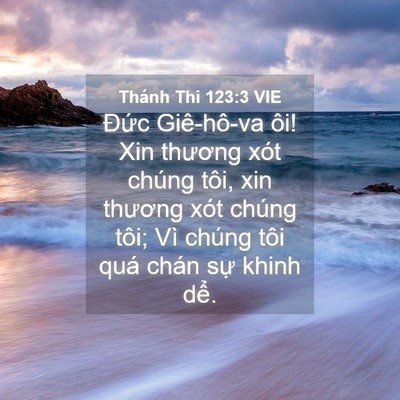 Picture 04 - Thánh Thi 123:3 VIE - Đức Giê-hô-va ôi! Xin thương xót chúng - Bible Verse Picture