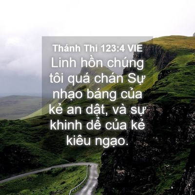 Picture 04 - Thánh Thi 123:4 VIE - Linh hồn chúng tôi quá chán Sự nhạo - Bible Verse Picture