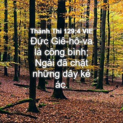 Picture 04 - Thánh Thi 129:4 VIE - Đức Giê-hô-va là công bình; Ngài đã - Bible Verse Picture