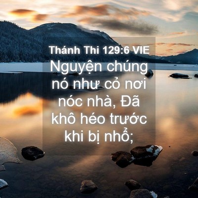 Picture 04 - Thánh Thi 129:6 VIE - Nguyện chúng nó như cỏ nơi nóc nhà, - Bible Verse Picture