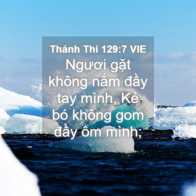 Picture 04 - Thánh Thi 129:7 VIE - Ngươi gặt không nắm đầy tay mình, Kẻ - Bible Verse Picture