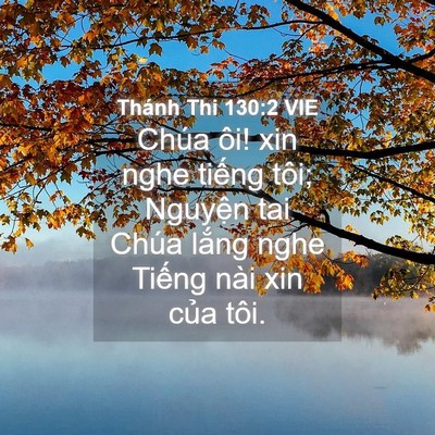 Picture 04 - Thánh Thi 130:2 VIE - Chúa ôi! xin nghe tiếng tôi; Nguyện tai - Bible Verse Picture