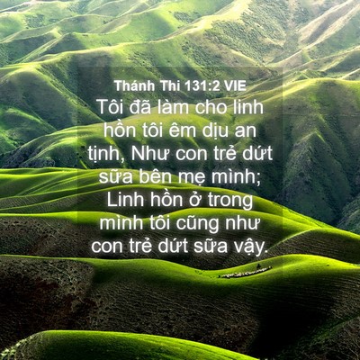 Picture 04 - Thánh Thi 131:2 VIE - Tôi đã làm cho linh hồn tôi êm dịu an - Bible Verse Picture