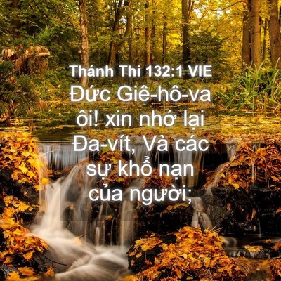 Picture 04 - Thánh Thi 132:1 VIE - Đức Giê-hô-va ôi! xin nhớ lại Đa-vít, - Bible Verse Picture