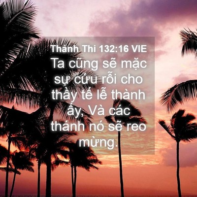 Picture 04 - Thánh Thi 132:16 VIE - Ta cũng sẽ mặc sự cứu rỗi cho thầy - Bible Verse Picture