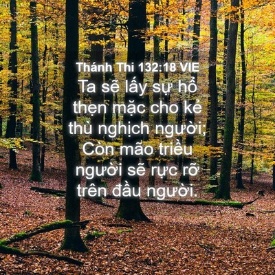 Picture 04 - Thánh Thi 132:18 VIE - Ta sẽ lấy sự hổ thẹn mặc cho kẻ - Bible Verse Picture
