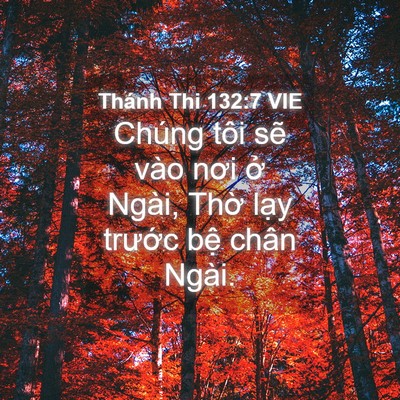 Picture 04 - Thánh Thi 132:7 VIE - Chúng tôi sẽ vào nơi ở Ngài, Thờ lạy - Bible Verse Picture