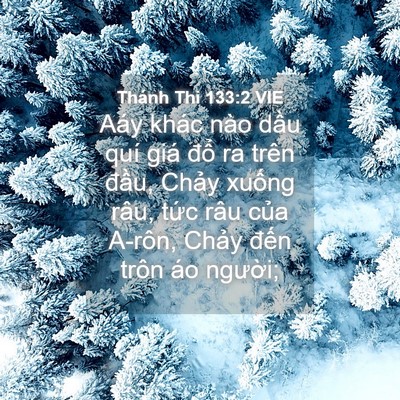 Picture 04 - Thánh Thi 133:2 VIE - Aáy khác nào dầu quí giá đổ ra trên - Bible Verse Picture