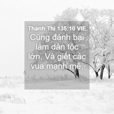 Picture 04 - Thánh Thi 135:10 VIE - Cũng đánh bại lắm dân tộc lớn, Và - Bible Verse Picture
