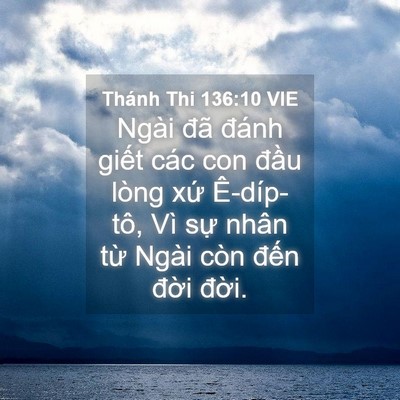 Picture 04 - Thánh Thi 136:10 VIE - Ngài đã đánh giết các con đầu lòng - Bible Verse Picture