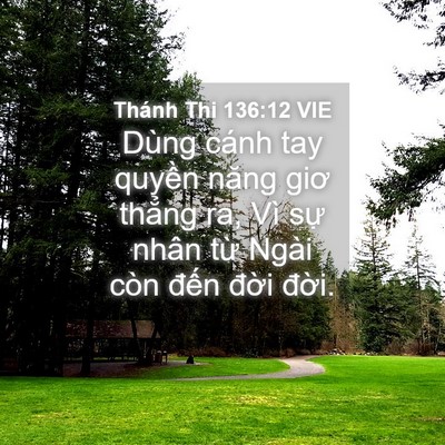Picture 04 - Thánh Thi 136:12 VIE - Dùng cánh tay quyền năng giơ thẳng ra, - Bible Verse Picture