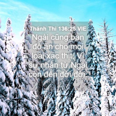 Picture 04 - Thánh Thi 136:25 VIE - Ngài cũng ban đồ ăn cho mọi loài xác - Bible Verse Picture