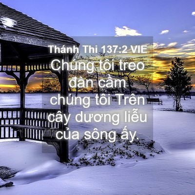 Picture 04 - Thánh Thi 137:2 VIE - Chúng tôi treo đàn cầm chúng tôi Trên - Bible Verse Picture