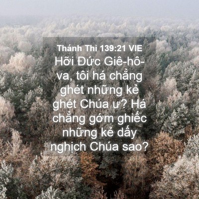 Picture 04 - Thánh Thi 139:21 VIE - Hỡi Đức Giê-hô-va, tôi há chẳng ghét - Bible Verse Picture