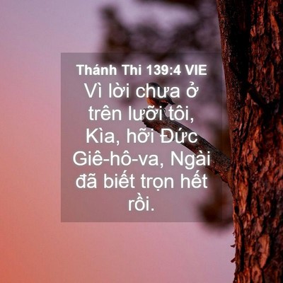 Picture 04 - Thánh Thi 139:4 VIE - Vì lời chưa ở trên lưỡi tôi, Kìa, - Bible Verse Picture