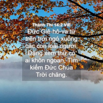 Picture 04 - Thánh Thi 14:2 VIE - Đức Giê-hô-va từ trên trời ngó xuống - Bible Verse Picture