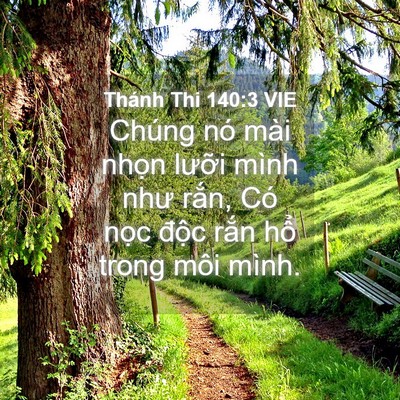 Picture 04 - Thánh Thi 140:3 VIE - Chúng nó mài nhọn lưỡi mình như rắn, - Bible Verse Picture