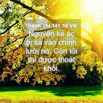 Picture 04 - Thánh Thi 141:10 VIE - Nguyện kẻ ác bị sa vào chính lưới - Bible Verse Picture