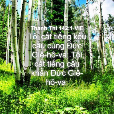 Picture 04 - Thánh Thi 142:1 VIE - Tôi cất tiếng kêu cầu cùng Đức - Bible Verse Picture
