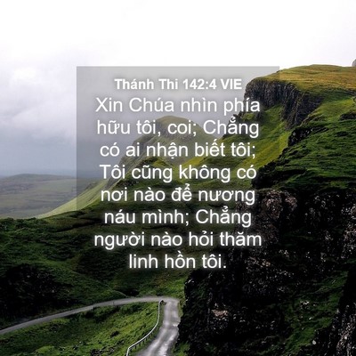 Picture 04 - Thánh Thi 142:4 VIE - Xin Chúa nhìn phía hữu tôi, coi; Chẳng - Bible Verse Picture