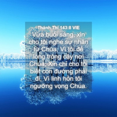 Picture 04 - Thánh Thi 143:8 VIE - Vừa buổi sáng, xin cho tôi nghe sự nhân - Bible Verse Picture