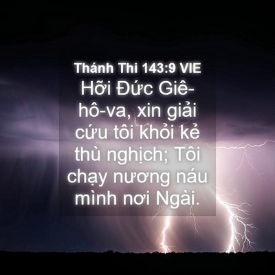 Picture 04 - Thánh Thi 143:9 VIE - Hỡi Đức Giê-hô-va, xin giải cứu tôi - Bible Verse Picture