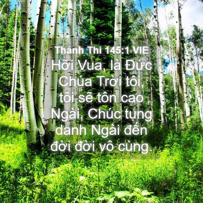 Picture 04 - Thánh Thi 145:1 VIE - Hỡi Vua, là Đức Chúa Trời tôi, tôi - Bible Verse Picture