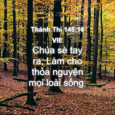 Picture 04 - Thánh Thi 145:16 VIE - Chúa sè tay ra, Làm cho thỏa nguyện mọi - Bible Verse Picture