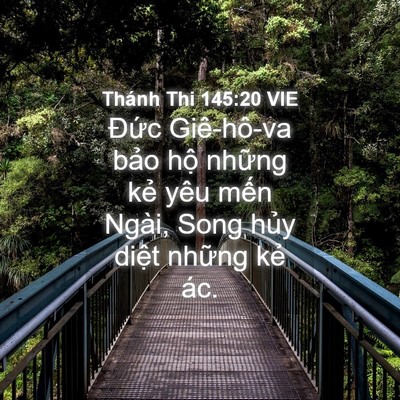 Picture 04 - Thánh Thi 145:20 VIE - Đức Giê-hô-va bảo hộ những kẻ yêu - Bible Verse Picture