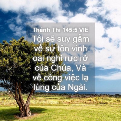 Picture 04 - Thánh Thi 145:5 VIE - Tôi sẽ suy gẫm về sự tôn vinh oai nghi - Bible Verse Picture