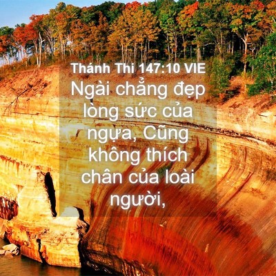 Picture 04 - Thánh Thi 147:10 VIE - Ngài chẳng đẹp lòng sức của ngựa, - Bible Verse Picture