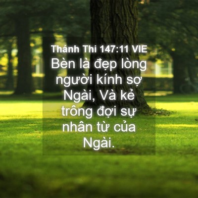 Picture 04 - Thánh Thi 147:11 VIE - Bèn là đẹp lòng người kính sợ Ngài, - Bible Verse Picture