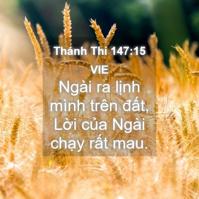 Picture 04 - Thánh Thi 147:15 VIE - Ngài ra lịnh mình trên đất, Lời của - Bible Verse Picture