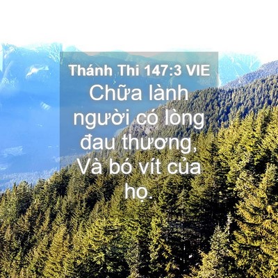 Picture 04 - Thánh Thi 147:3 VIE - Chữa lành người có lòng đau thương, - Bible Verse Picture
